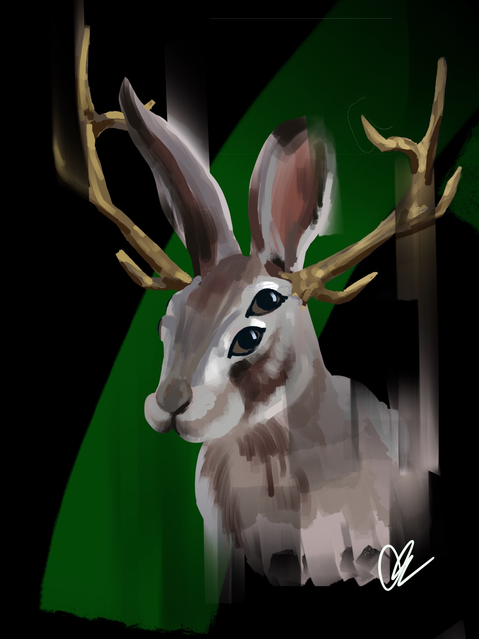 Bunny