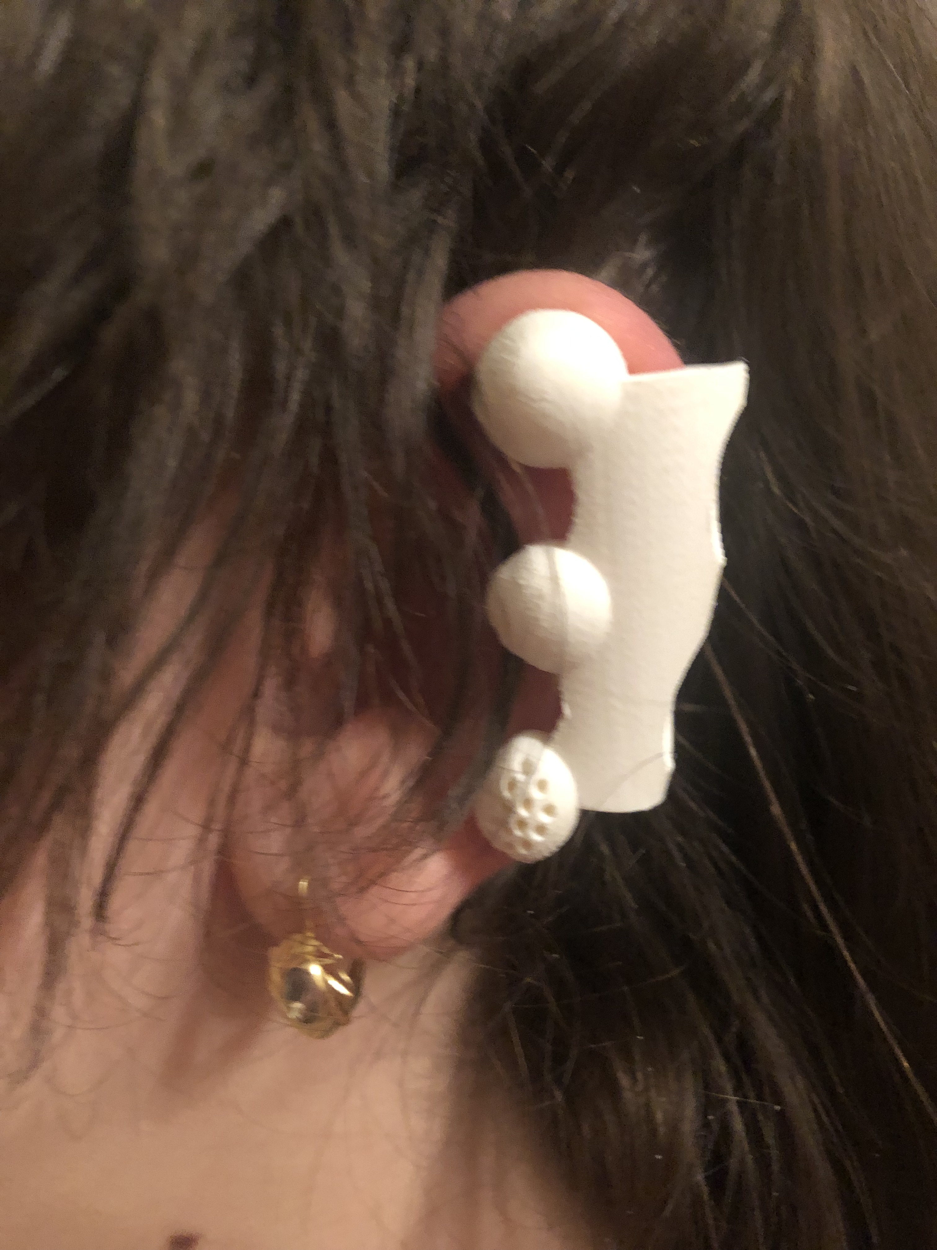 Ear